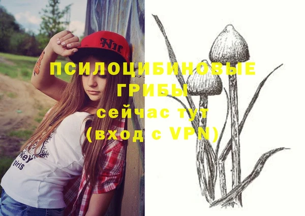 гидропоника Лагань