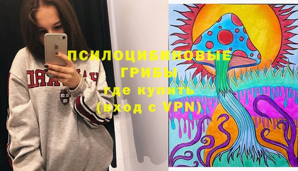 спиды Лабытнанги